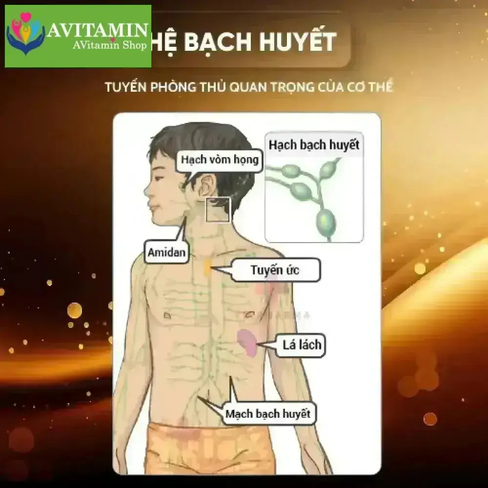 {CHÍNH HÃNG} - Kem Tan Hạch Cổ Truyền Nhật Bản, Teo U Hạch, Kem Mỡ Tiêu Tan Hạch Bạch Huyết Shixendo CAO CẤP - AVITAMINSHOP.COM