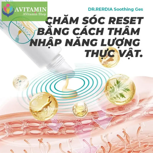 Gel làm dịu DR.RERDIA Nhân sâm Gừng Ngải cứu Thành phần tự nhiên Chăm sóc nhẹ nhàng