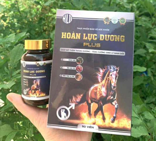 Hoàn Lực Dương Plus - AVITAMINSHOP.COM