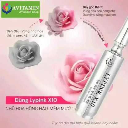 Kem Hồng Nhũ Hoa LyPink X10 khử thâm bikini làm hồng tự nhiên không hồng ảo - AVITAMINSHOP.COM