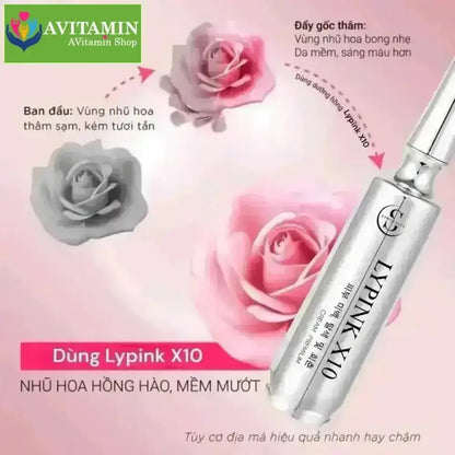 Kem Hồng Nhũ Hoa Lypinkk - Dưỡng hồng ti và bikini Nữ Dưỡng Body - AVITAMINSHOP.COM