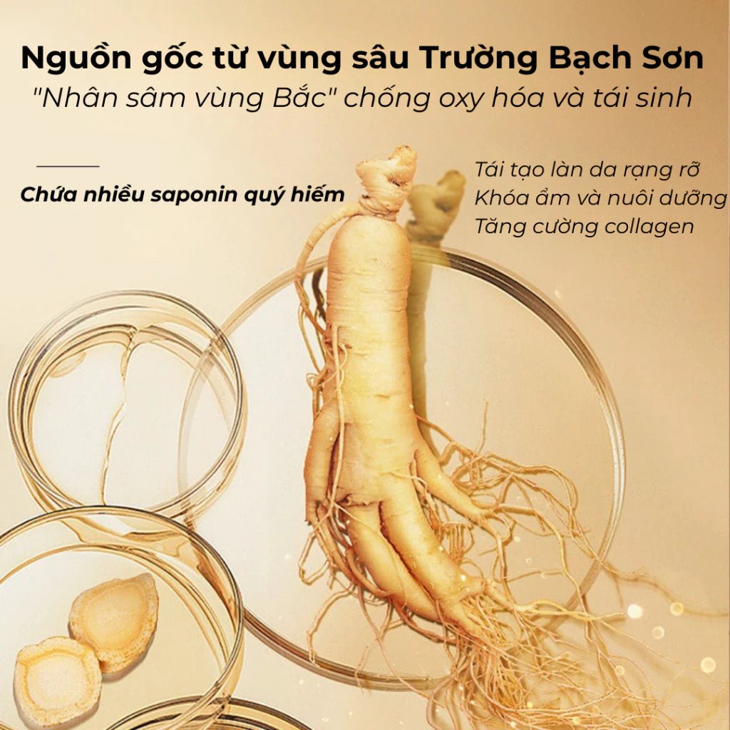 Kem Nám Tàn Nhang Nhân Sâm CNXUER Hộp 60g Kem Mờ Thâm Nám Tàn Nhang Dưỡng Ẩm Sáng Da Ngừa Lão Hóa - AVITAMINSHOP.COM