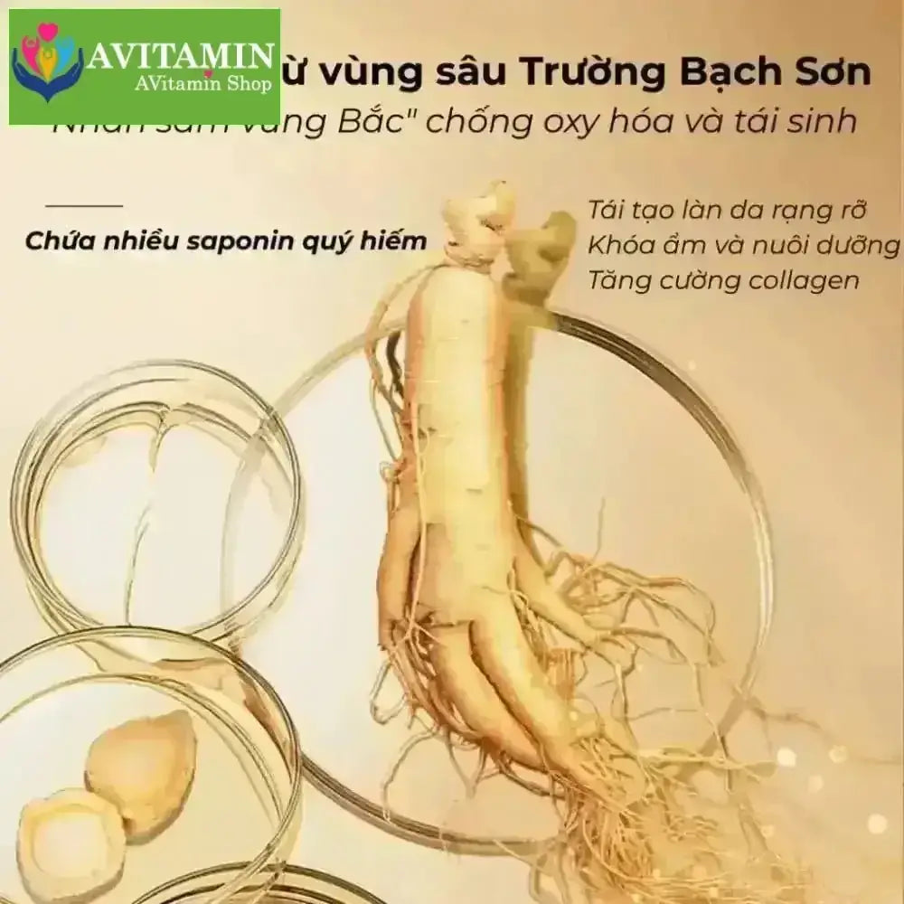 Kem Nám Tàn Nhang Nhân Sâm CNXUER Hộp 60g Kem Mờ Thâm Nám Tàn Nhang Dưỡng Ẩm Sáng Da Ngừa Lão Hóa - AVITAMINSHOP.COM