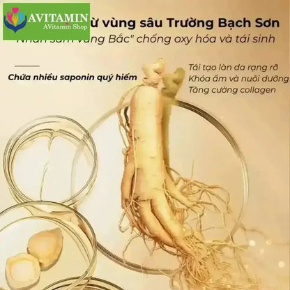Kem Nám Tàn Nhang Nhân Sâm CNXUER Hộp 60g Kem Mờ Thâm Nám Tàn Nhang Dưỡng Ẩm Sáng Da Ngừa Lão Hóa - AVITAMINSHOP.COM