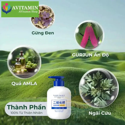 MAIGOOLE - Dầu Gội Chống Gầu Loại Bỏ Nấm Ngứa Da Đầu Nhật Bản, Dứt Điểm Nấm Ngứa, Viêm, Tóc Gãy Rụng Xơ Rối - AVITAMINSHOP.COM
