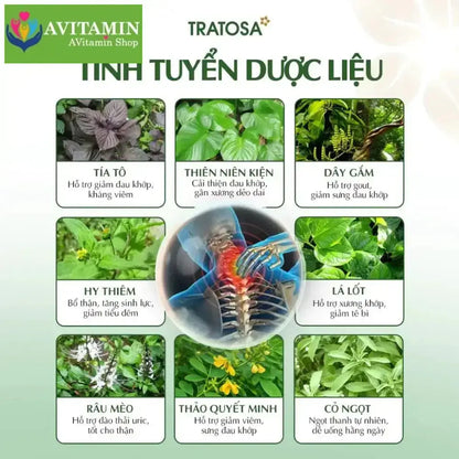 Trà tía tô okoshi plus Hưng Yên TRATOSA 8 vị thảo dược 33 túi lọc tốt cho xương khớp, gút, an toàn và lành tính - AVITAMINSHOP.COM