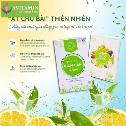 Viên Uống Giảm Cân Vincent Sâm Tố Nữ Trà Thảo Mộc Giảm Cân Giảm Mỡ Trong Máu An Toàn Tặng Detox