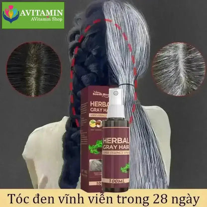 Xịt đen tóc Herbal, tinh chất linh chi đen tóc Herbal, gray hair, serum phủ bạc làm đen tóc an toàn 100ml - AVITAMINSHOP.COM